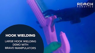 Large Hook Wielding Demonstration | Reach Robotics