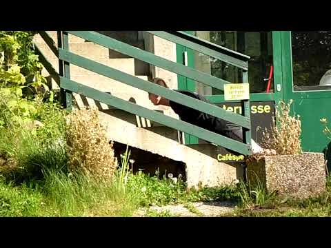 KRISTIJAN GOLUBOVIĆ PRIPREME ZA MIRZU HATIĆA (HIT VIDEO) 2021.