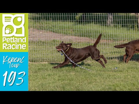 Kennel Tour 193