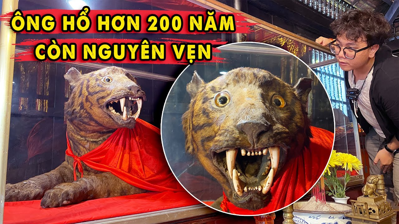 Xác Ông Hổ hơn 200 năm còn Nguyên Vẹn tại chùa Thầy Pháp