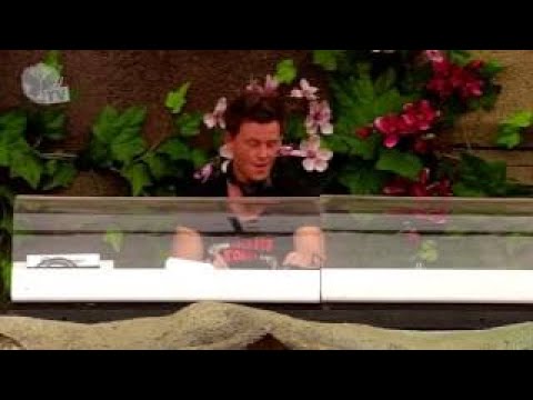 Fedde Le Grand Live @ Tomorrowland 2013