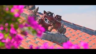 石垣島ドリーム観光