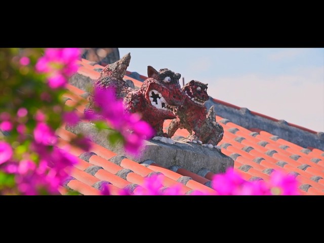 石垣島ドリーム観光