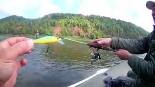 Pontoon 21 bet a shad 63sp
