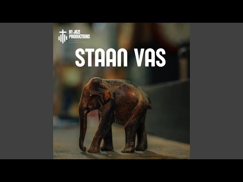 STAAN VAS