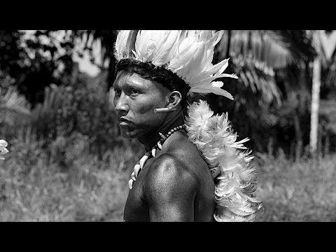 DER SCHAMANE UND DIE SCHLANGE | Trailer deutsch german [HD]