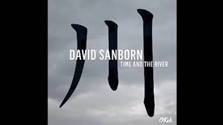 A La Verticale David Sanborn. Song by Alice Soyer and Sylvain Luc