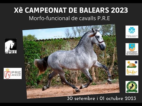 FERRERIES 2023, Concurso Morfológico de Pura Raza Española 2*, clasificatorio para SICAB 2023.