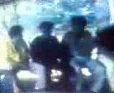 Dasko Stevanovic - Svadba u Grabovcu (1Deo)