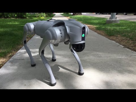 New Atlas tries out the Unitree Go2 Pro quadruped robot