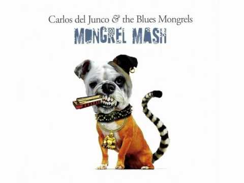 Carlos Del Junco & The Blues Mongrels - Lil' Laptop