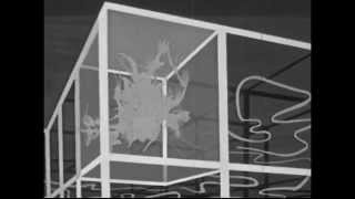 PINKWASH - "MATTRESS"