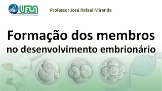 Formação dos membros no desenvolvimento embrionário