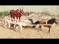 How To Make 4 Wheels Horse Cart From Wood Amazing DIY Woodworking Projects
