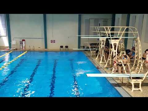2017 UNCW Men's 1m - Dive 4 101A
