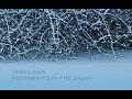 CHRIS REA - FOOTPRINTS IN THE SNOW - LIVE