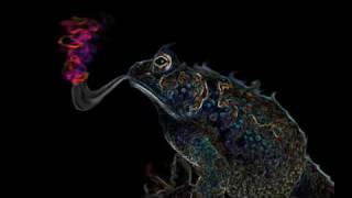 Claude Vonstroke - Vocal Chords