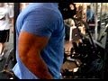 Biceps And Back Routine At The Gym Hodgetwins