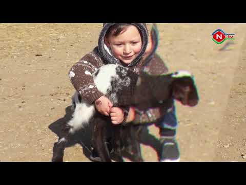 Zəhmətkeş - 21.04.2022