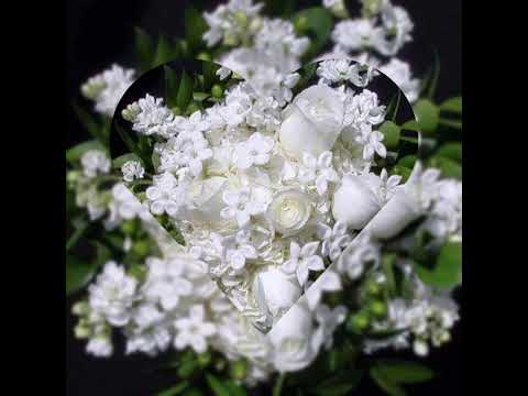 DYSTINCT - Ghazali ft. Bryan Mg