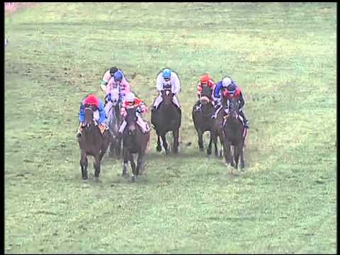 Galoppo 27/02/2015 - 4° corsa