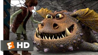 How to Train Your Dragon (2010) - Training Tips Sc