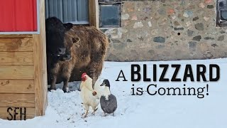 Preparing the Farm for a HUGE Spring Snowstorm