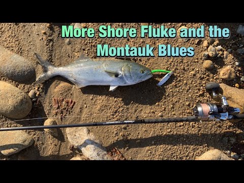 More Shore Fluke and the Montauk Blues Long Island NY
