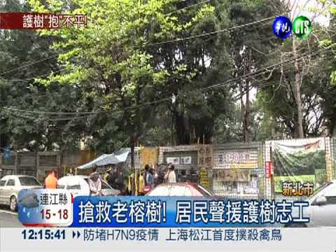 護樹逾196小時! 志工長期抗爭