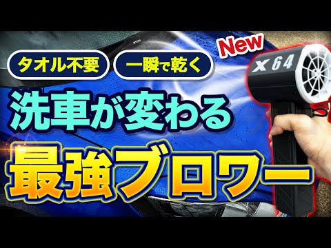 シリコントランスポーターとしてのカバ