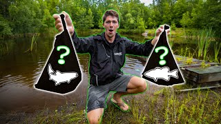 First Time STOCKING Fish in my BACKYARD POND!! (Pond Restoration Part 2)