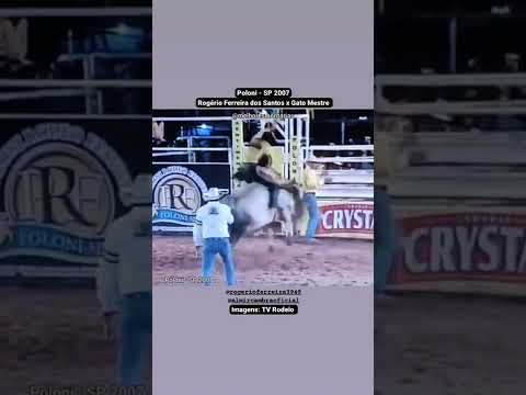Curta e comenta! 🤠👍🏻 Rogério Ferreira x Gato Mestre - Poloni 2007 #shorts #rodeio #rodeo