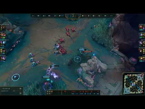 티모 어차피 죽을건데 같이 딜이나 넣어주지