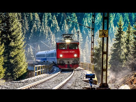 Reportajul plimbarii Larion - Silhoasa (misiunea 13) [4K] - 06.01.2021