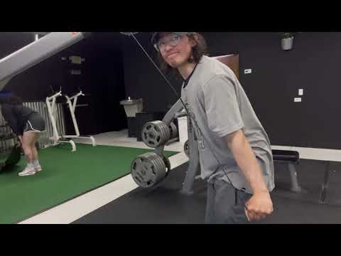 Chest and triceps|| spring cut day 4