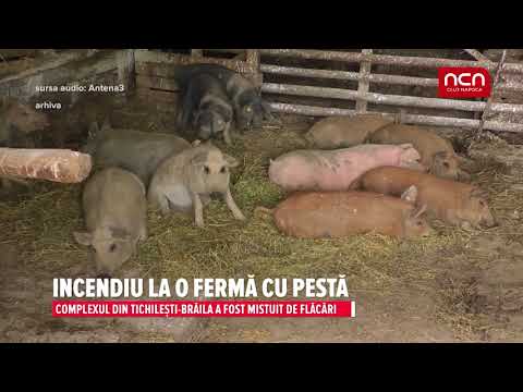 Incendiu la o ferma cu pesta