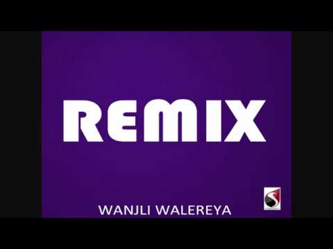 Wanjli Walereya  REMIX.flv