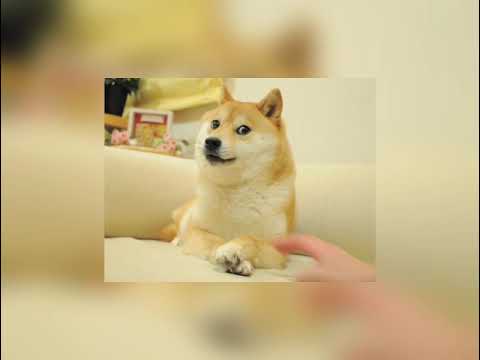 Dogecoin song - To the moon (sped up)