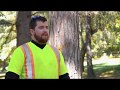 2018 Worker SAFEty Winner Garth Drakeley Gontree Tree Service Ltd