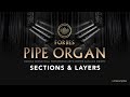 Video 5: Sections & Layers