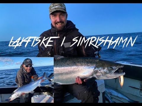 Laxtrolling simrishamn 2020 (19,2kg)
