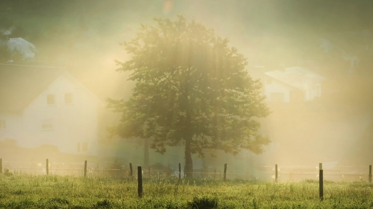 Tomar os Pais no coração