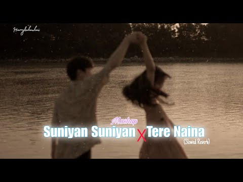 Suniyan Suniyan x Tere Naina Mashup (Slowed Reverb) | Harrykahanhai | Lastest Punjabi Mashup 2024