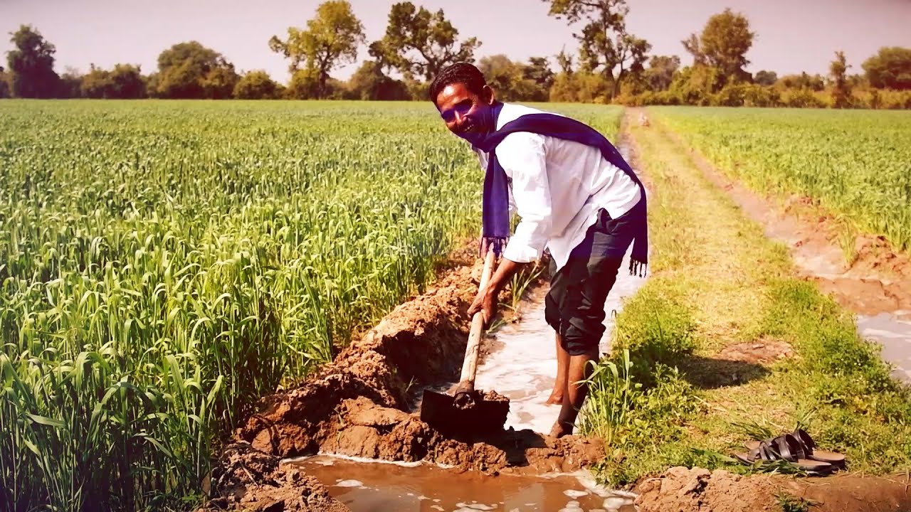 Participatory Irrigation Management (PIM Cell - Sardar Sarovar Narmada Nigam Ltd.)