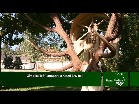 Gímbika Trófeamustra a Kaszó Zrt.-nél - 2015.11.14-i adás