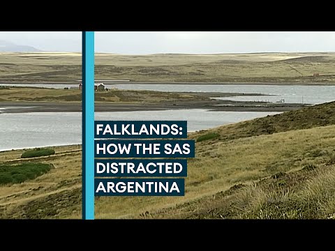 How the SAS used Stinger missiles to divert Argentina in the Falklands