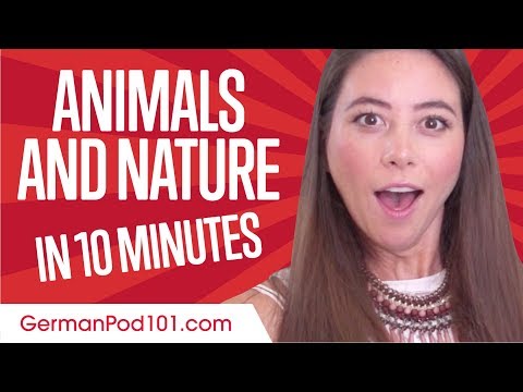 Learn 125 Intermediate German Words with Alisa German Vocabulary Made Easy