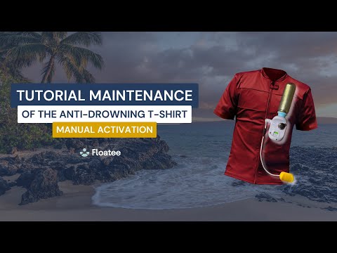 Maintenance manual version