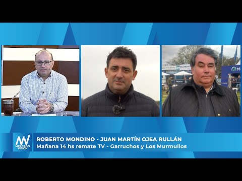 Roberto Mondino - Juan Martín Ojea Rullán - Mañana 14 hs remate TV Garruchos y Los Murmullos -MV