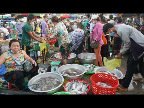 Amazing Morning Fish Market at Chhbar Ampov - Walking Tour Around Fish Market Early Morning
